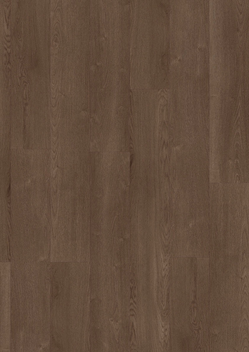 LVT 555 XXL Dryback