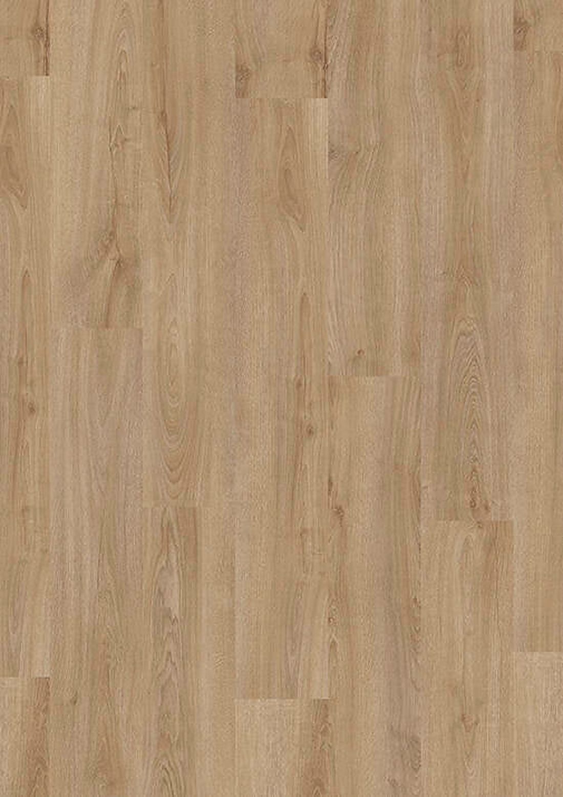 lvt 555 evolut forest oak 2