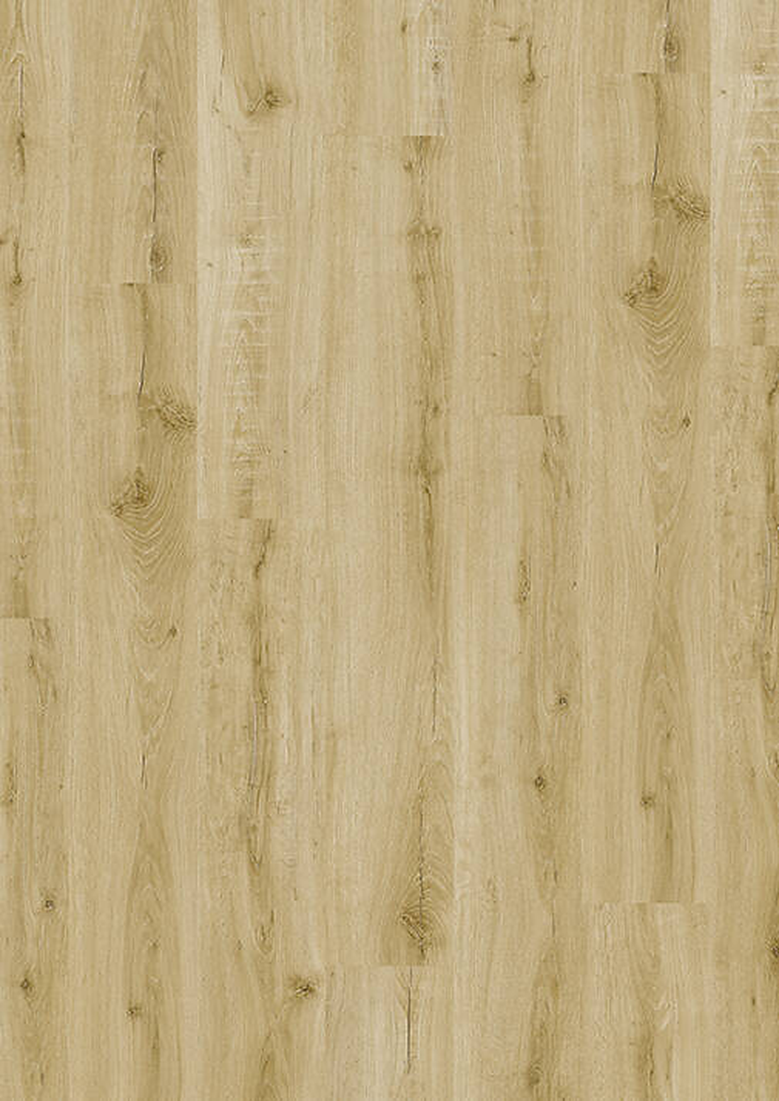 lvt 555 evolut golden oak