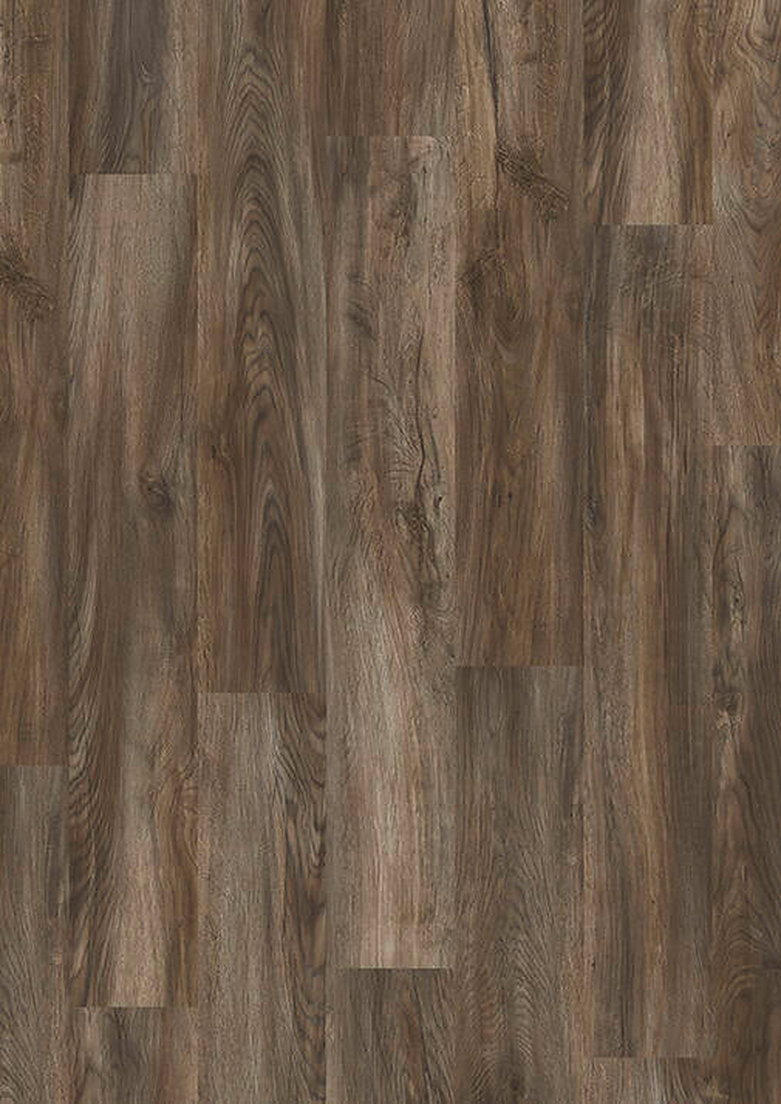 lvt 555 evolut mud oak 1