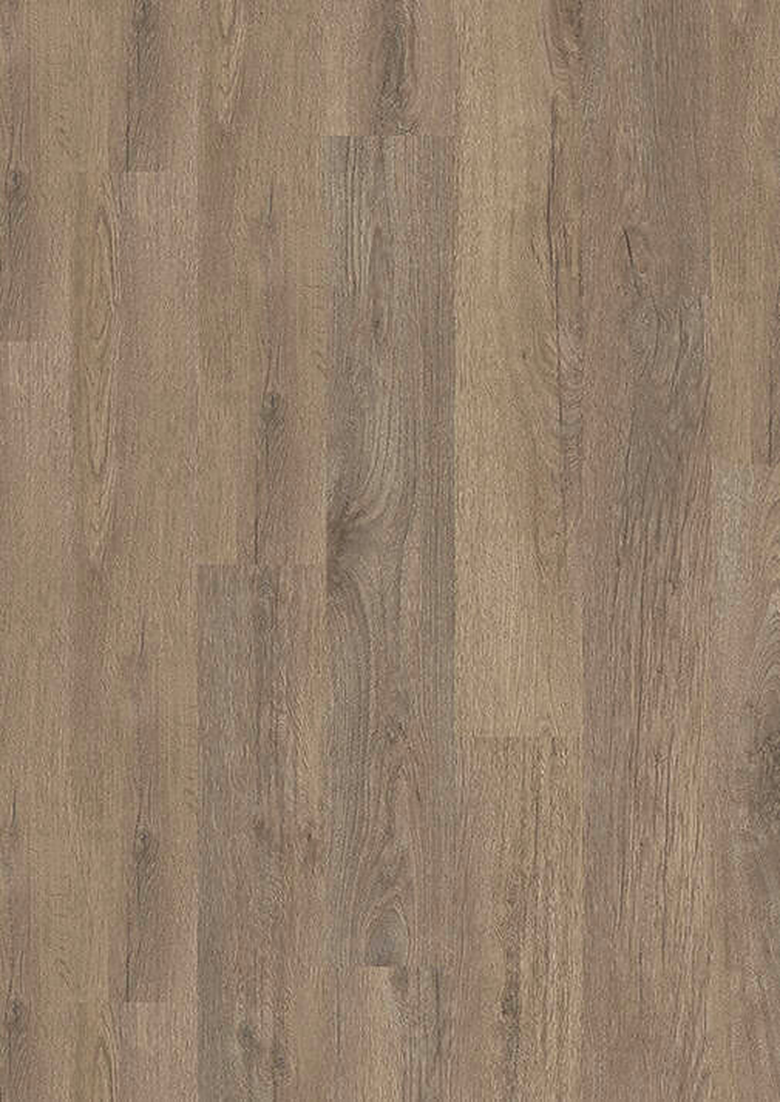 lvt 555 evolut stone oak 1