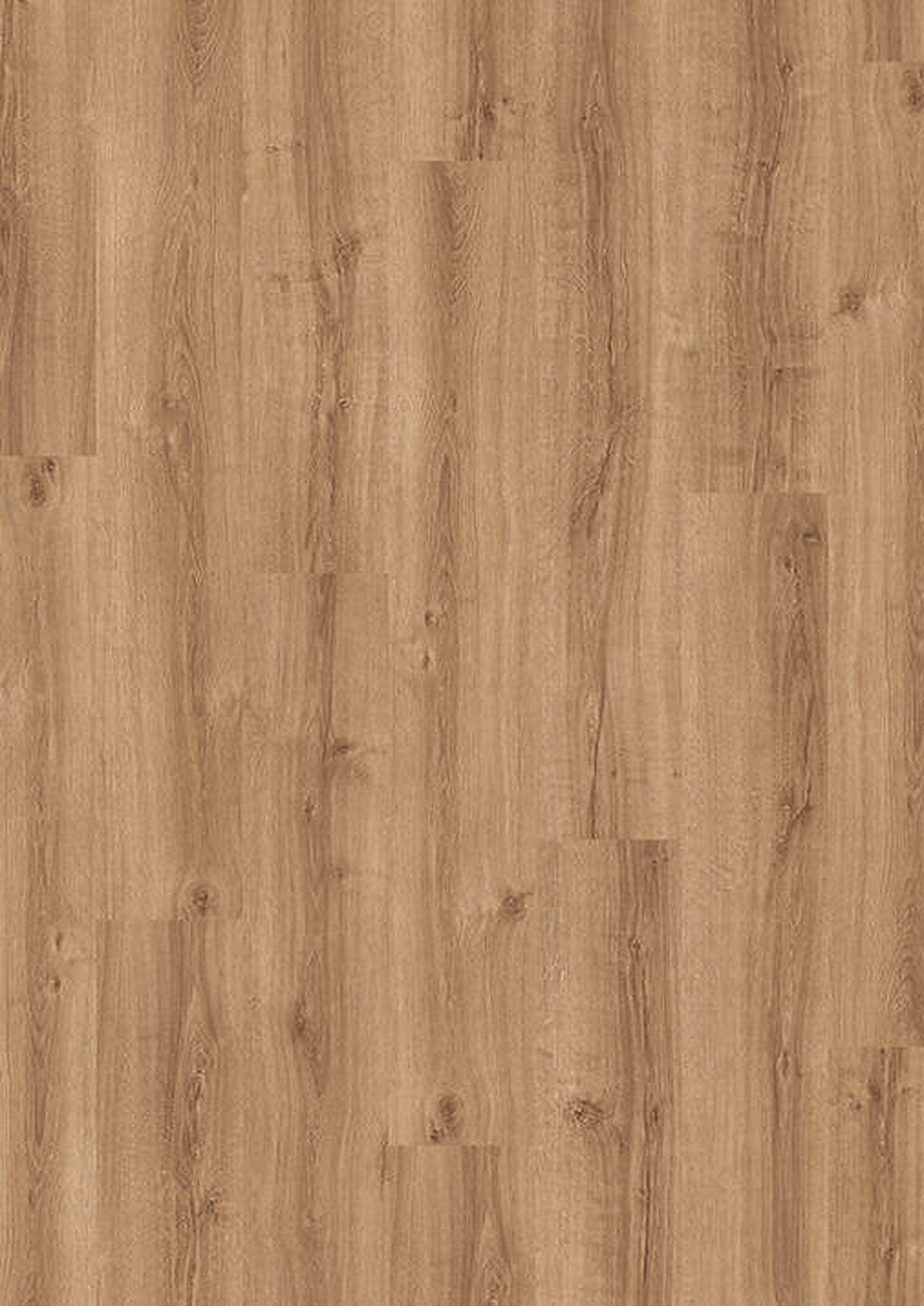 lvt 555 evolut summer oak 1