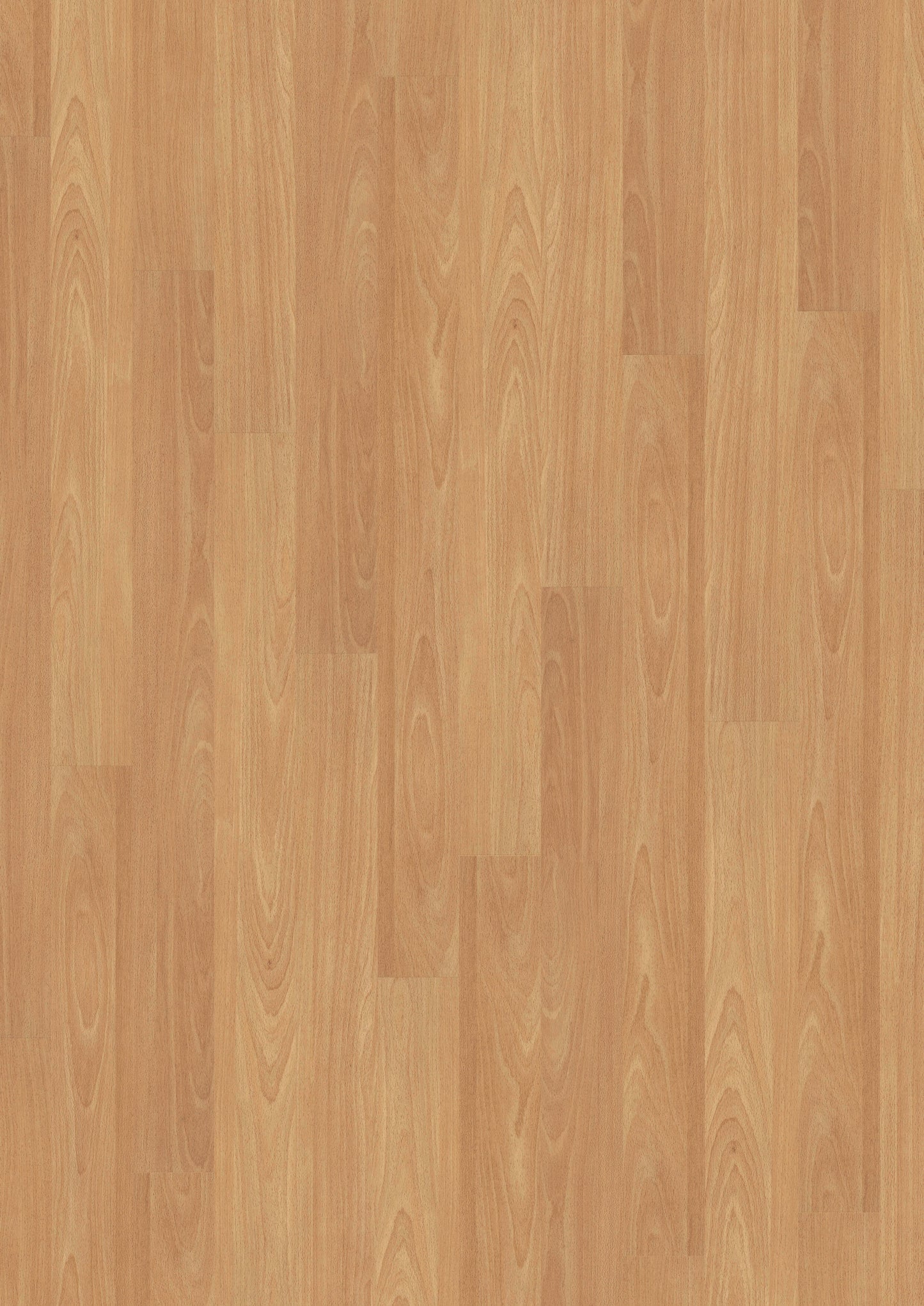 LVT 340 Dryback - Blond Beech