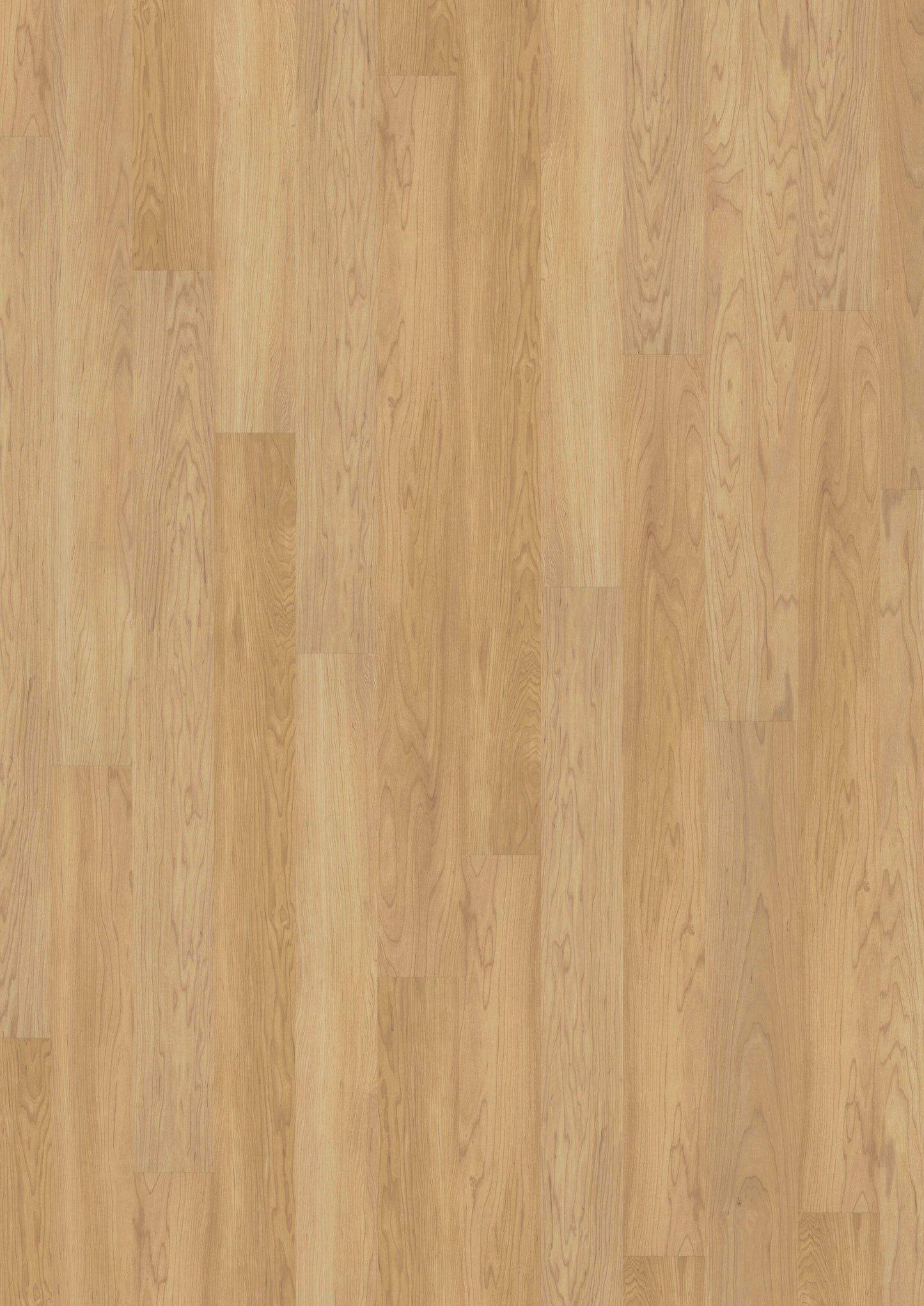 LVT 340 Dryback - Creamy Maple