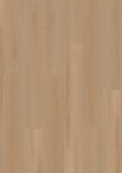 LVT 340 Dryback - Nuanced Oak