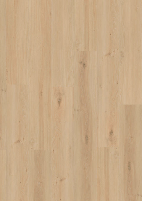 Design 340 Rigid