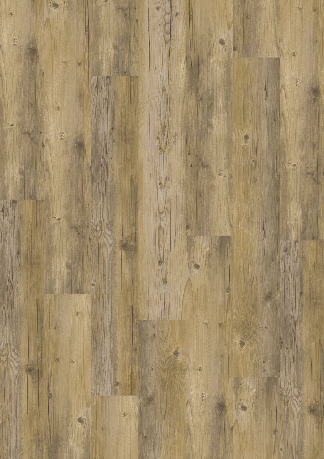 LVT 555 Rigid Click - Blond Pine