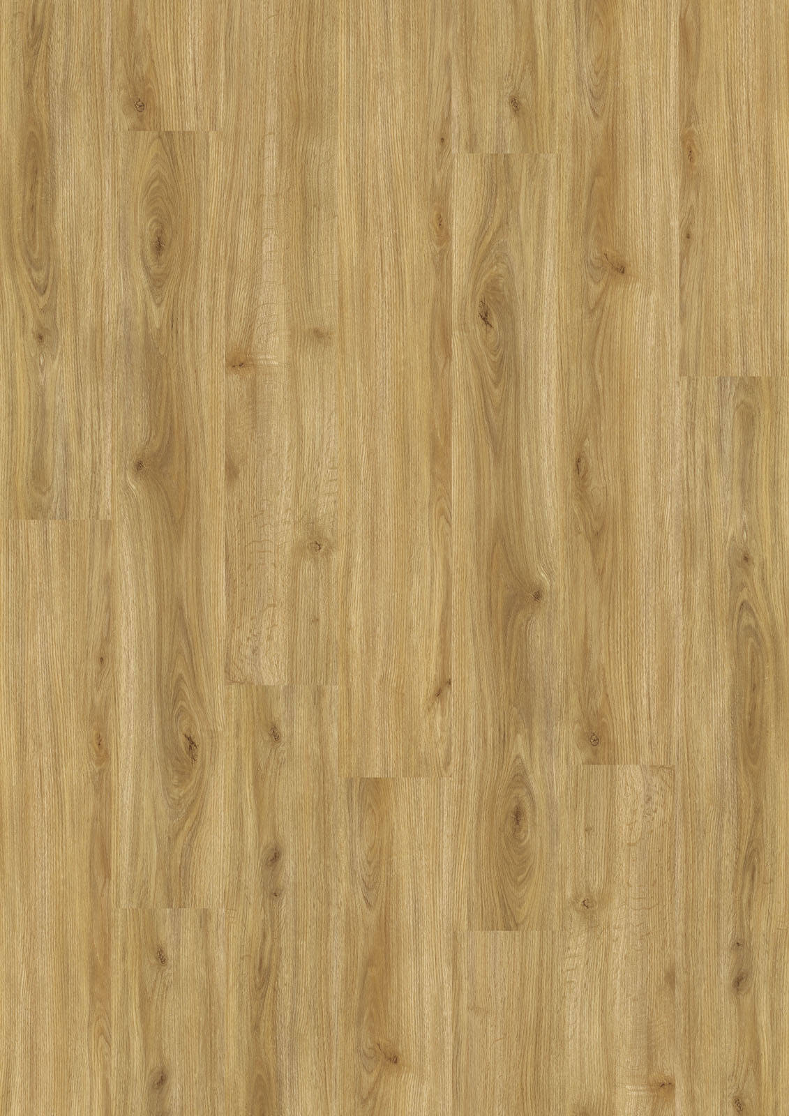 LVT Design 555 - Cozy Oak