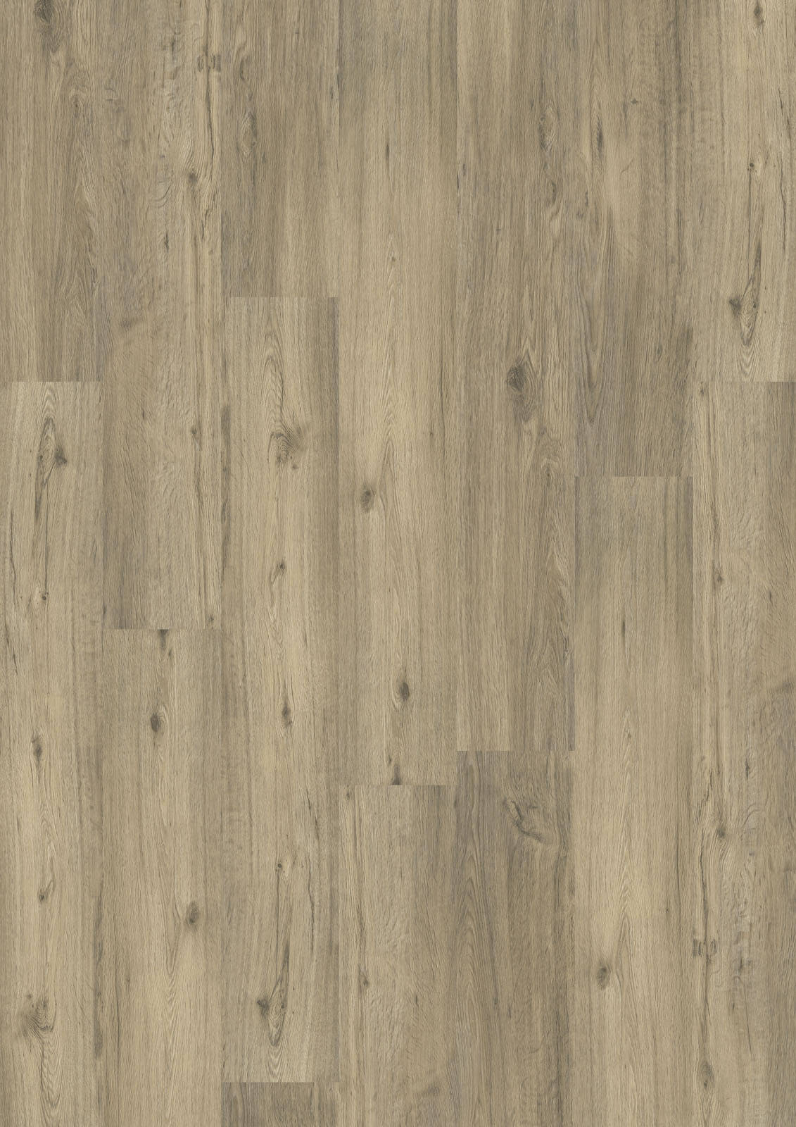 LVT 555 Rigid Click - Spring Oak