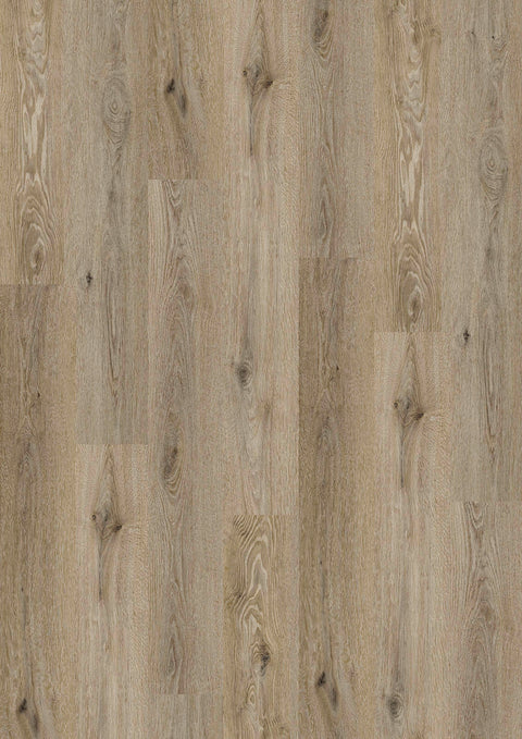 Design 555