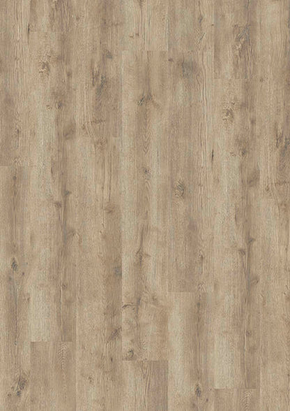 LVT 555 Evolut - Taupe Oak