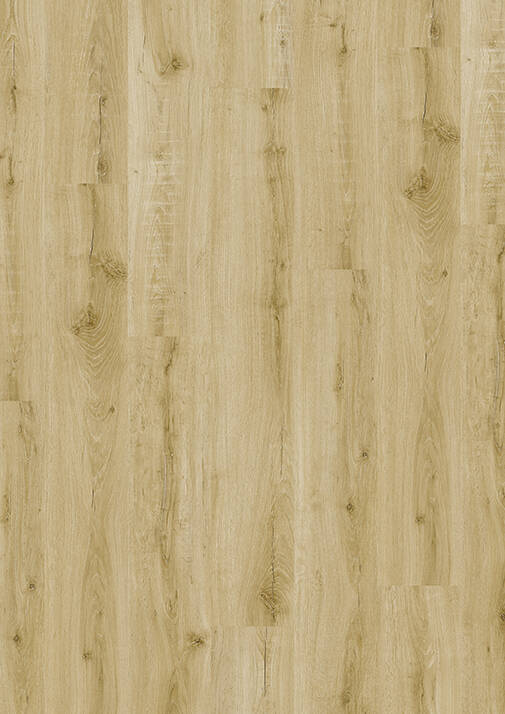 LVT 555 Evolut - Golden Oak