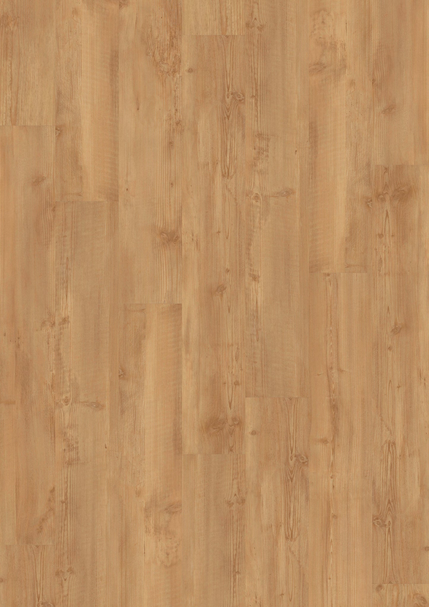 LVT 340 Dryback - Gouden Pine
