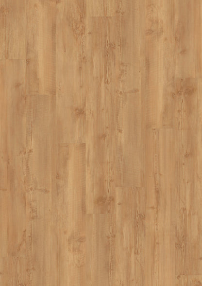 LVT 340 Dryback - Gouden Pine