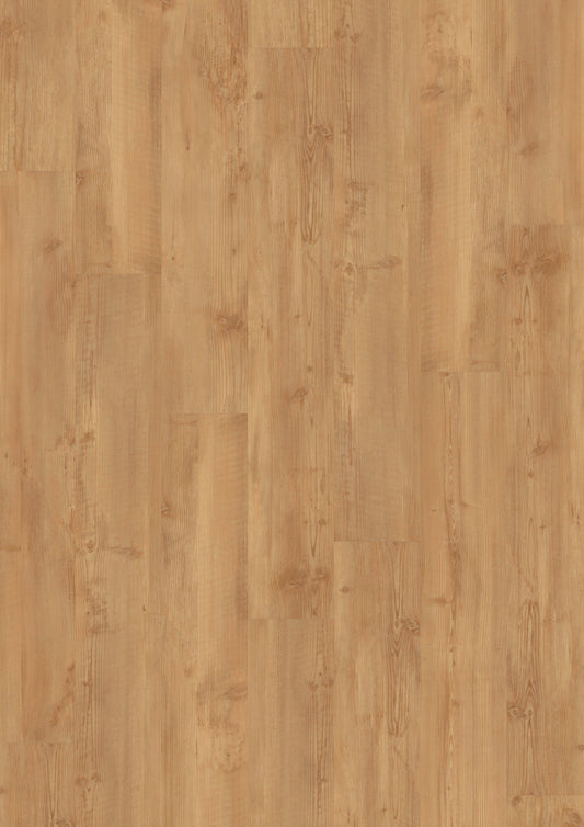 LVT 340 Dryback - Gouden Pine