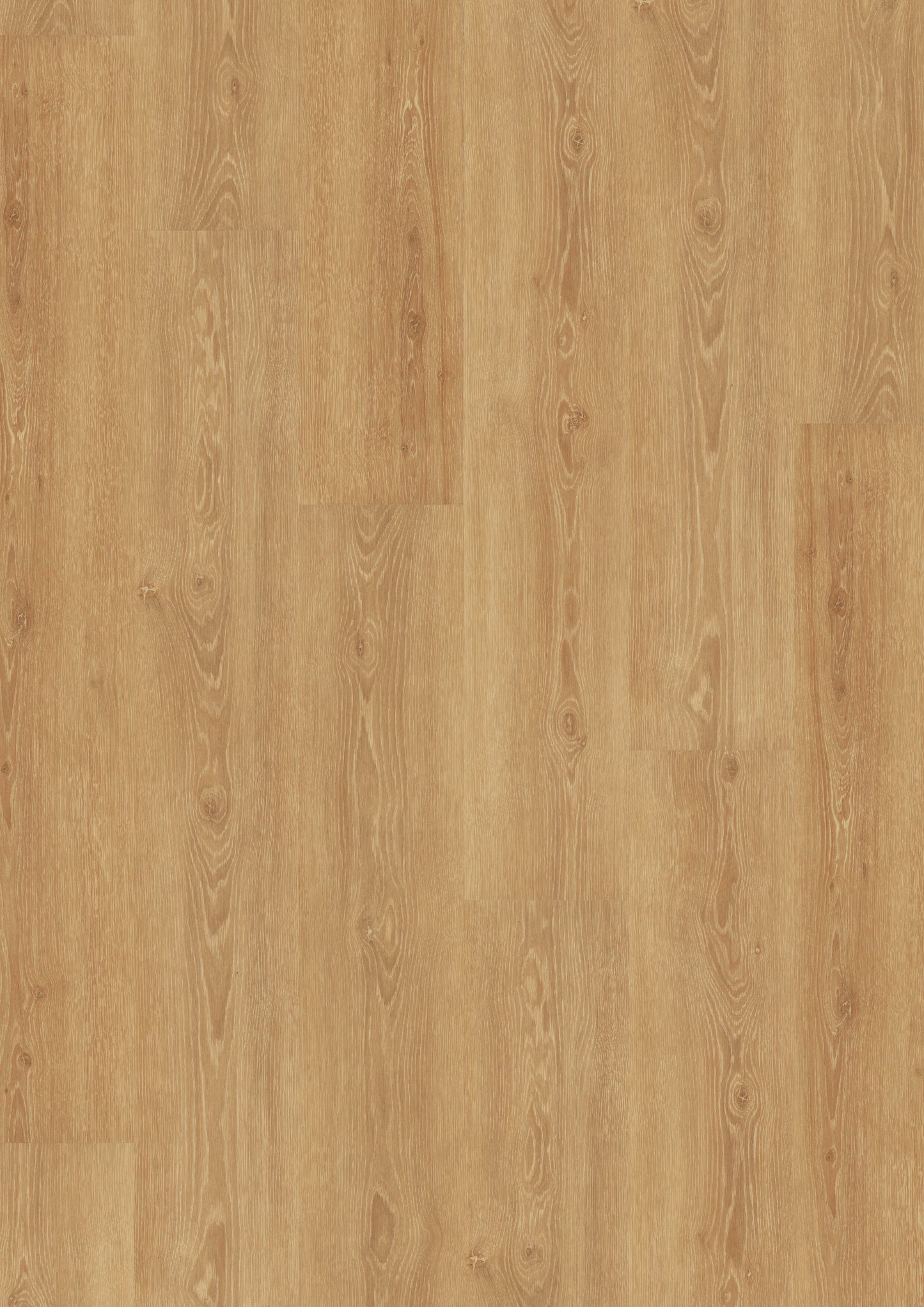 LVT Design 555 - Perfect Natural Oak