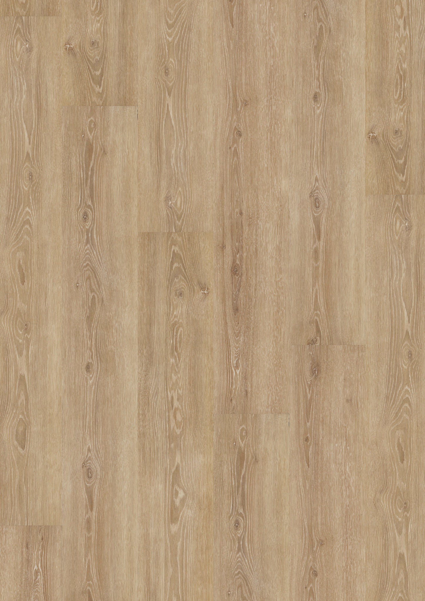 LVT Design 555 - Perfect Ivory Oak