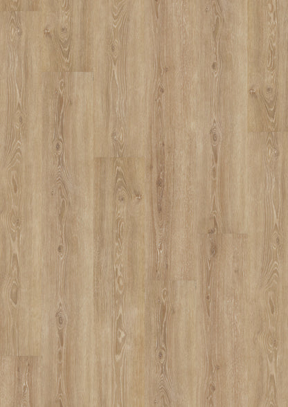 LVT Design 555 - Perfect Ivory Oak
