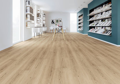 LVT Design 555 - Perfect Ivory Oak