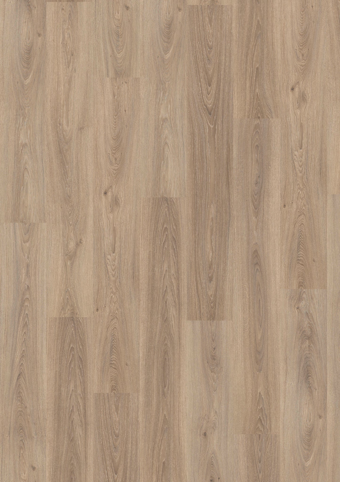 MANHATTAN 332 NP - Oak Soft Grey