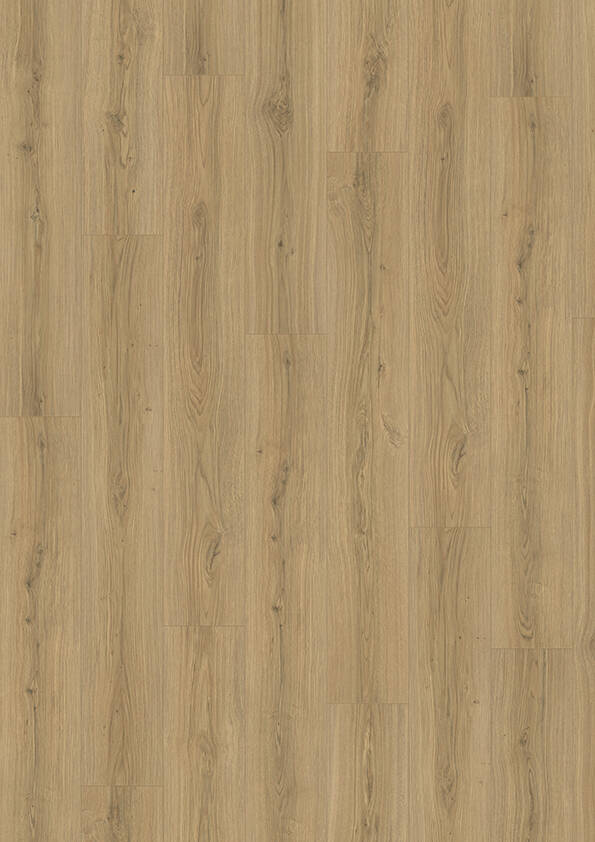 SKYLINE 533 NP - Oak Capital Warm