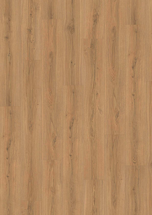 SKYLINE 533 NP - Oak Capital Warm