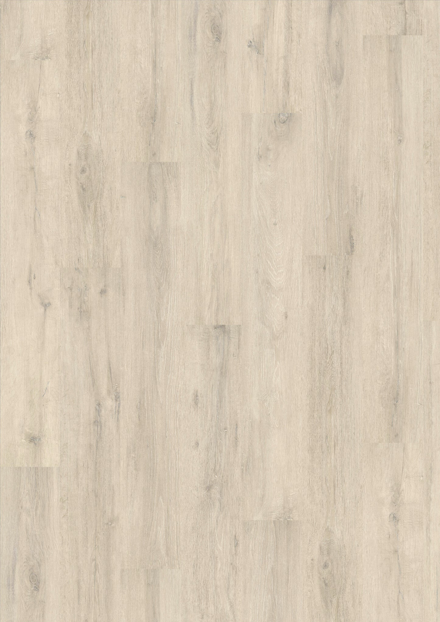 MADISON 331 NP - Oak Polarwhite