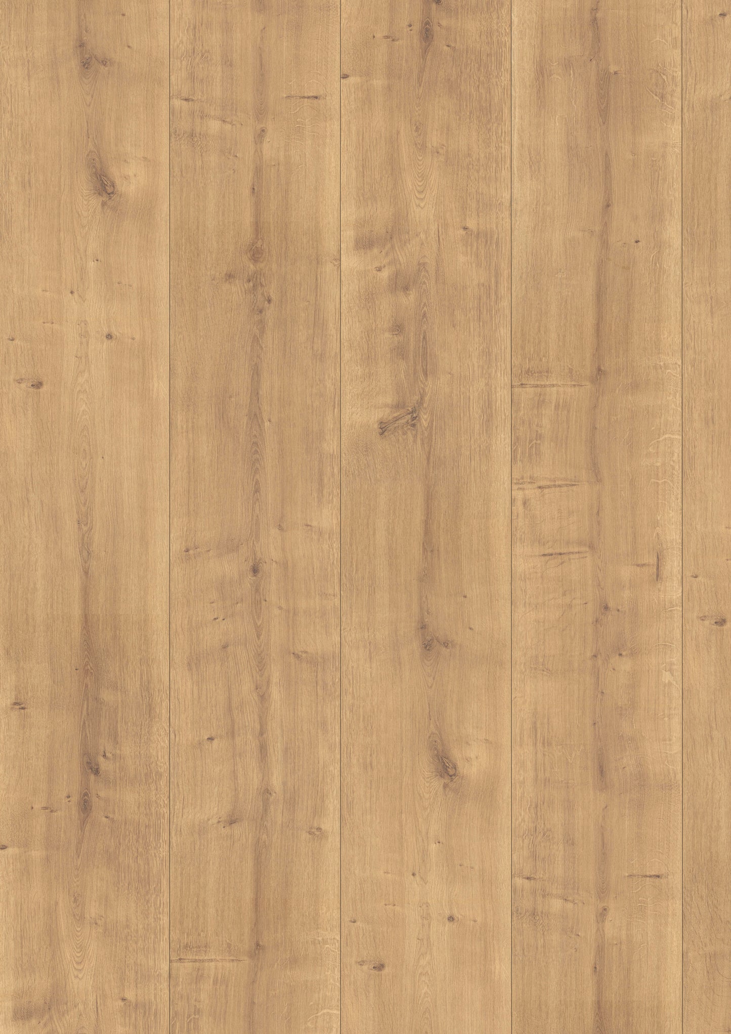 SKYLINE 532 MP - Oak Natura