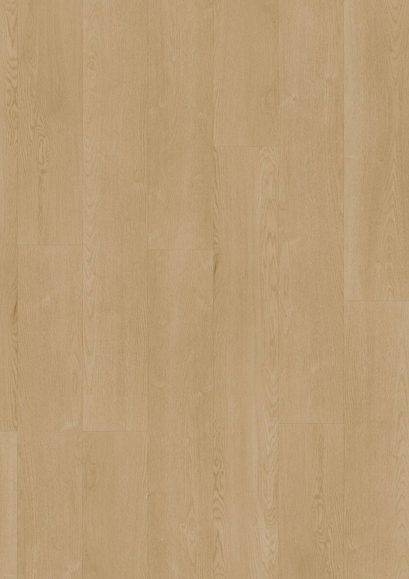 LVT 555 XXL Dryback – Chateau Oak Classic