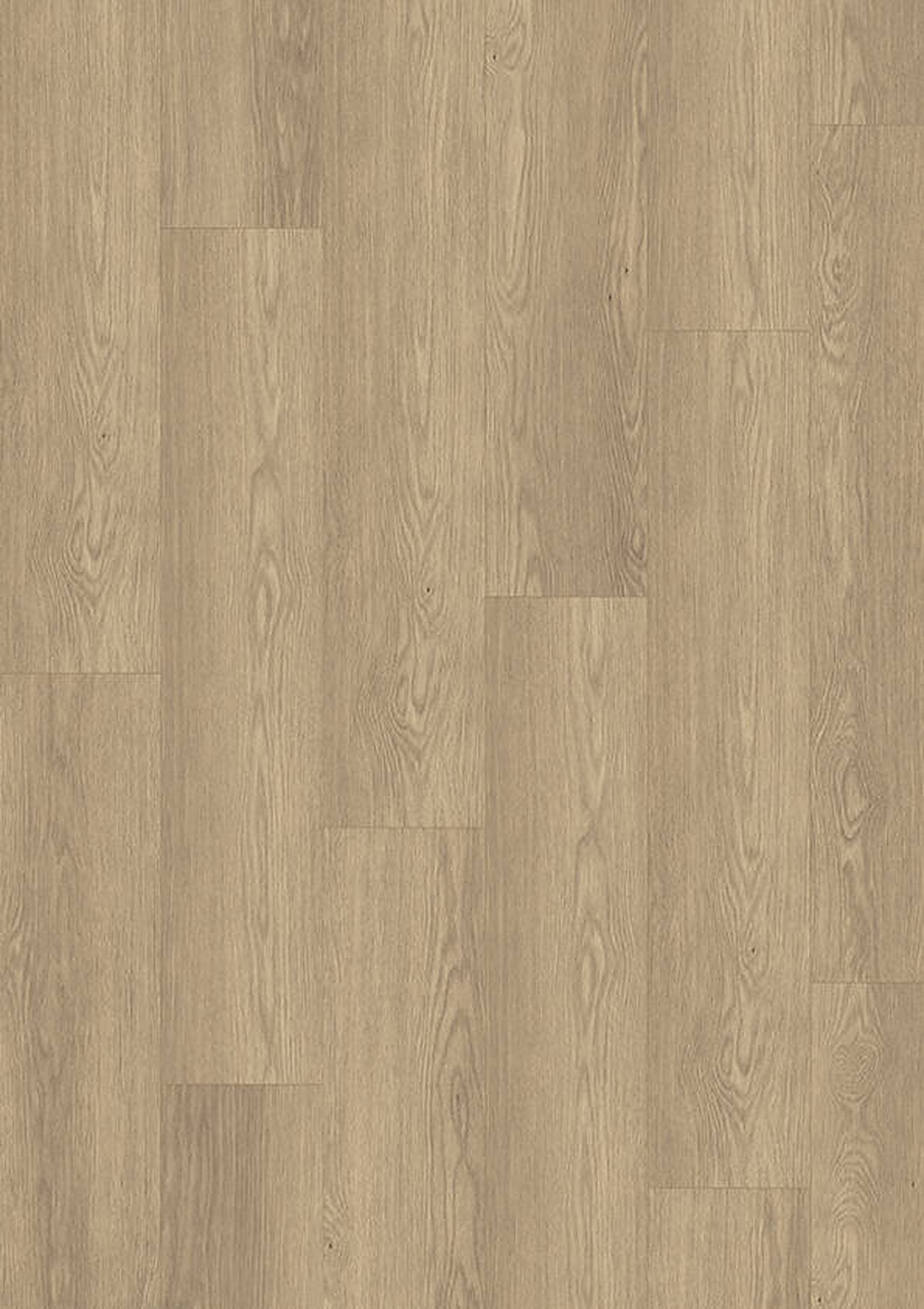 skyline 532 wp oak spirit brown
