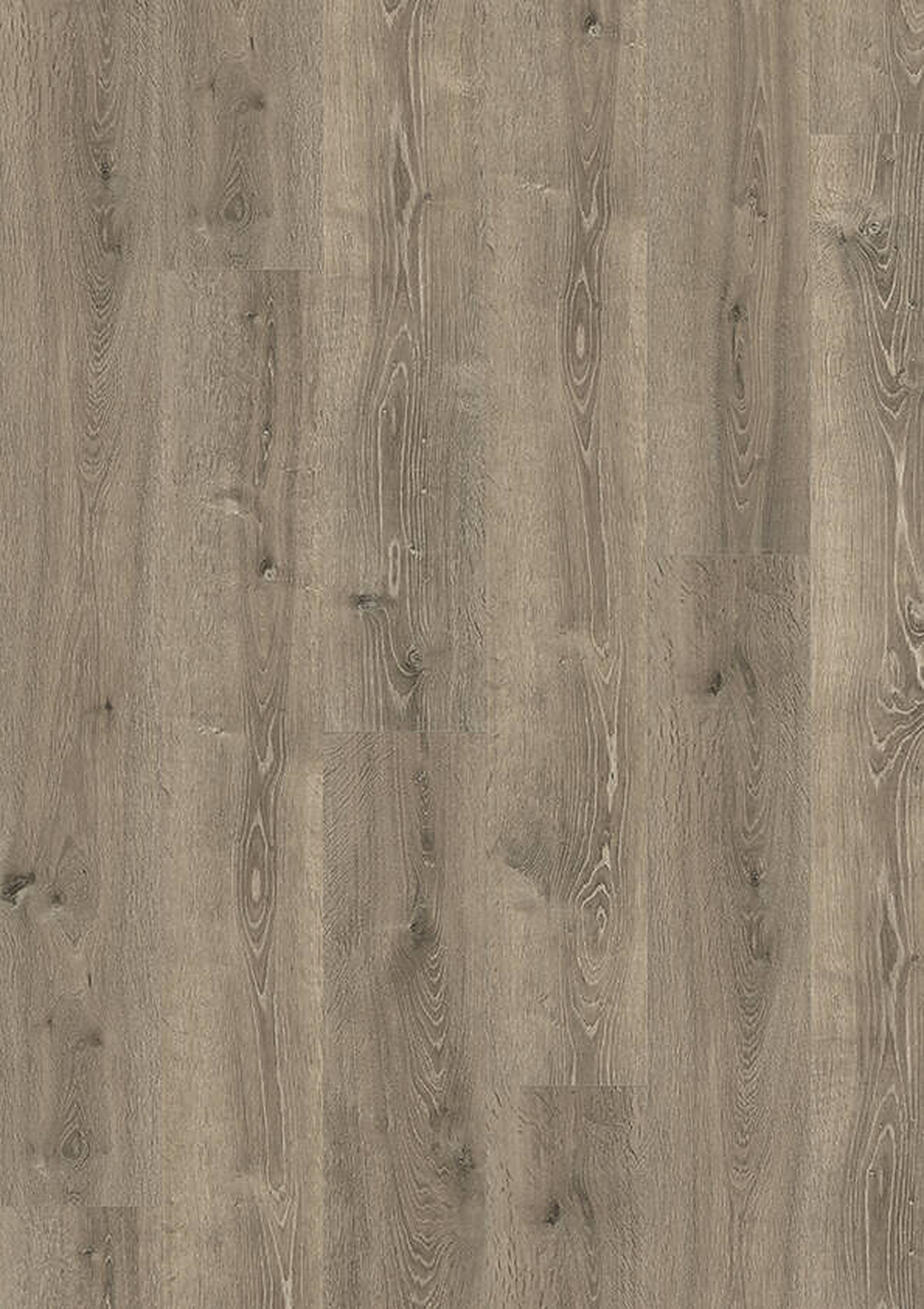 skyline 533 lp loft brown