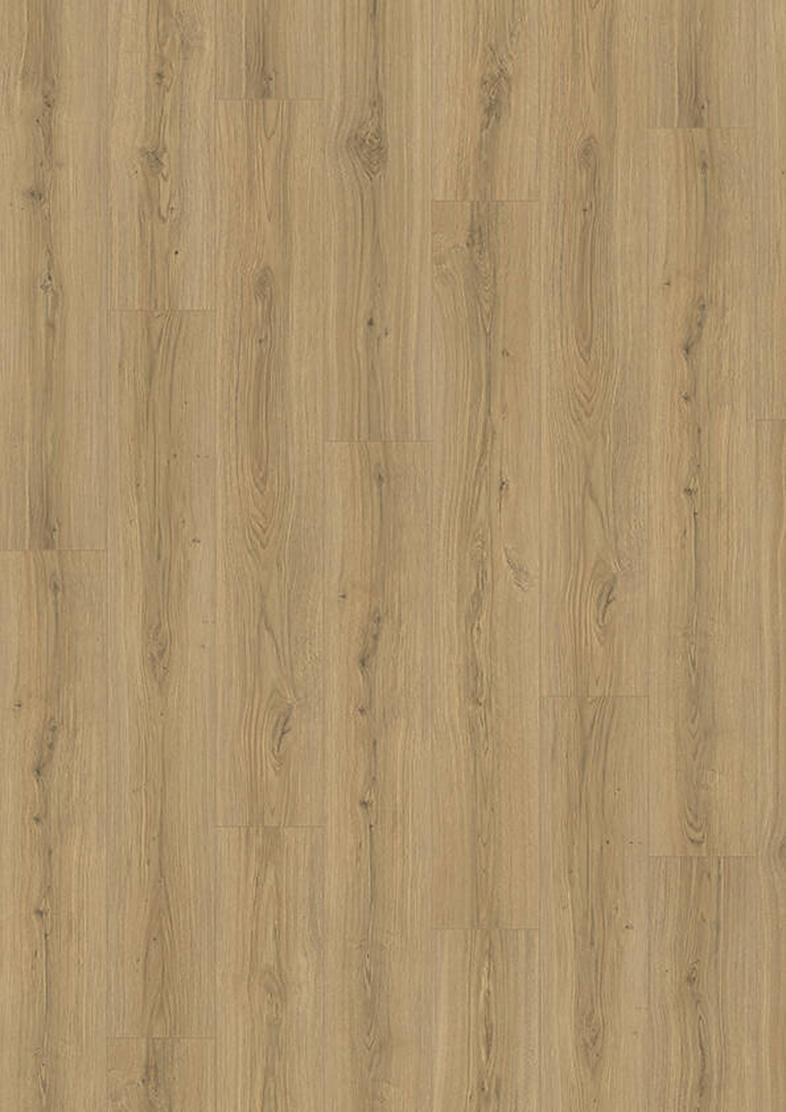 skyline 533 np oak capital warm